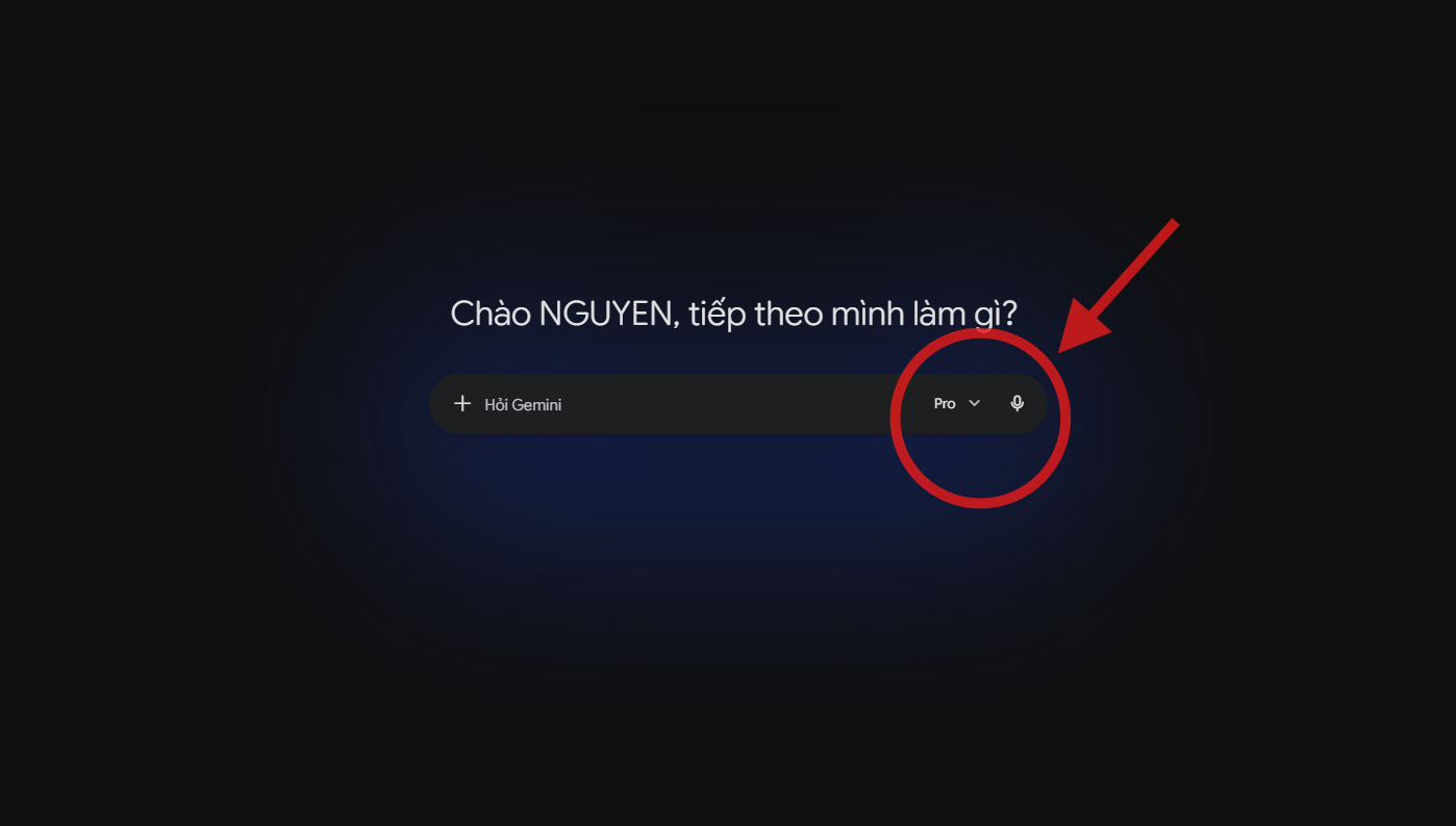 Ảnh chụp Gemini hiển thị Pro